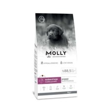 Molly Düşük Tahıllı Hypoallergenic Kuzulu Ve Yaban Mersinli Orta Ve Büyük Irk Yavru Köpek Maması 15 Kg brk: 8680542870860
